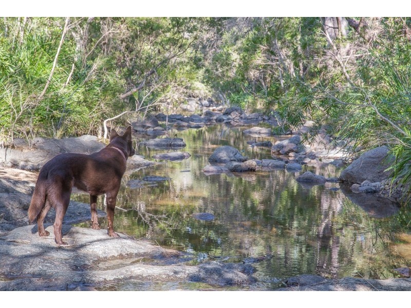 543 Purgatory Creek Road, Lilydale NSW 2460