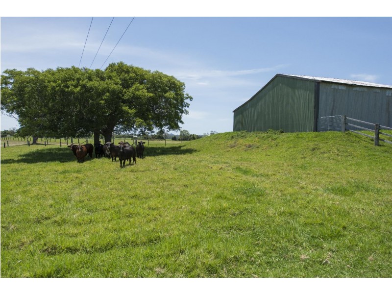 986 Lawrence Road, Southgate NSW 2460