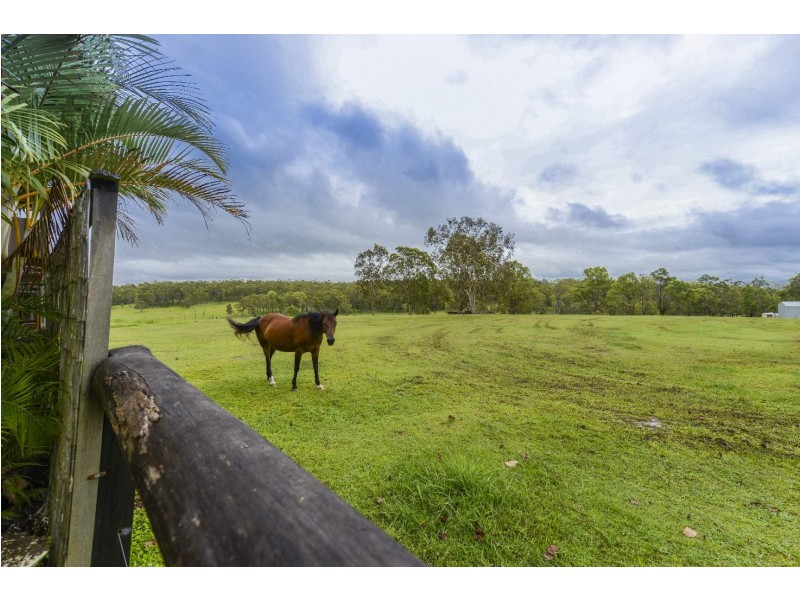 434 Armidale Road, Elland NSW 2460