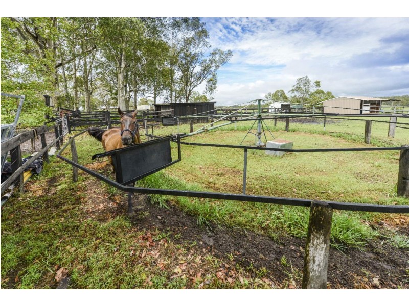 434 Armidale Road, Elland NSW 2460