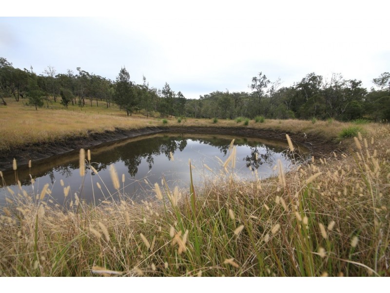 88 Mundine Road, Upper Fine Flower NSW 2460