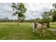 116 Lloyds Road, Pillar Valley NSW 2462