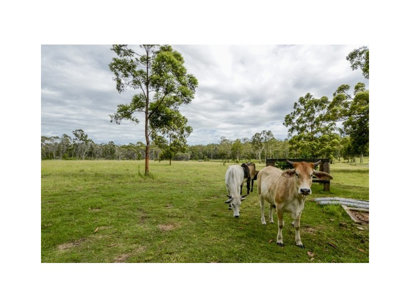 116 Lloyds Road, Pillar Valley NSW 2462