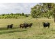 400 Centenary Drive, Clarenza NSW 2460