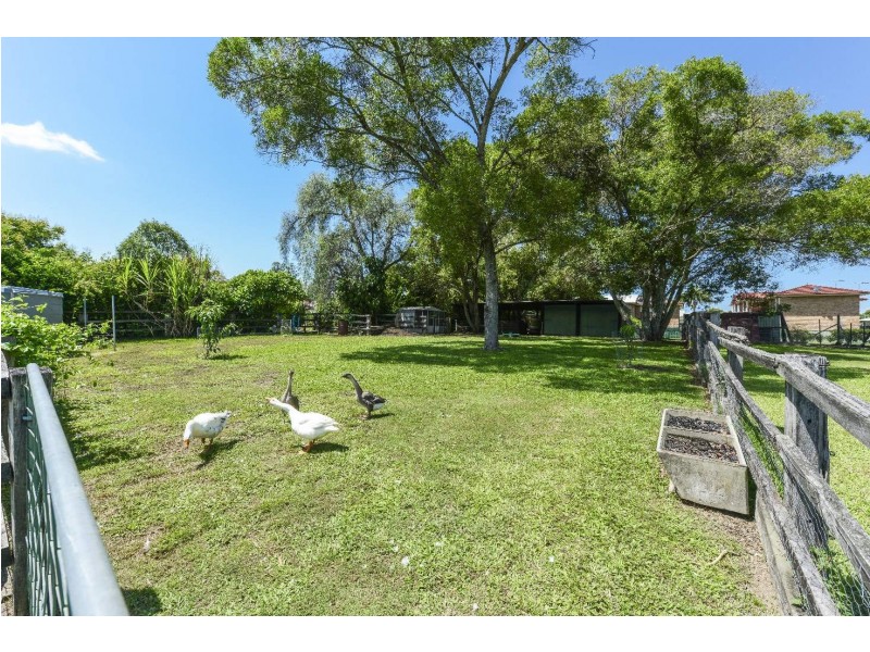174 Villiers Street, Grafton NSW 2460