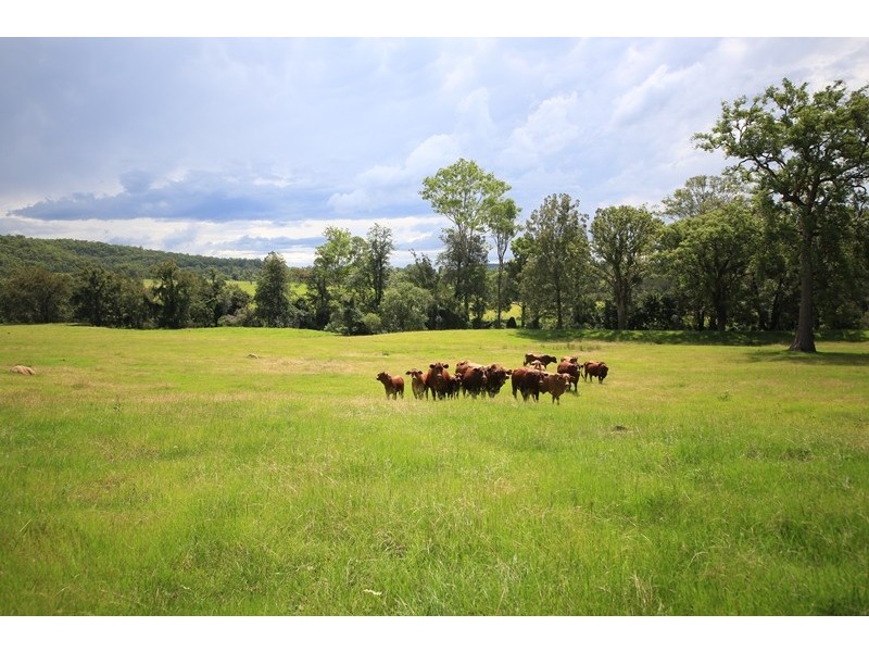 1874 Old Glen Innes Road, Chambigne NSW 2460