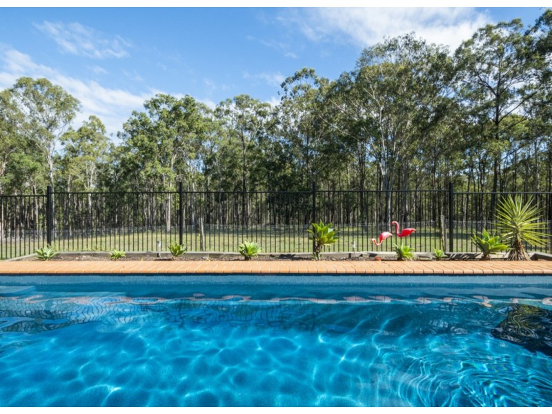 438 Kangaroo Creek Road, Coutts Crossing NSW 2460