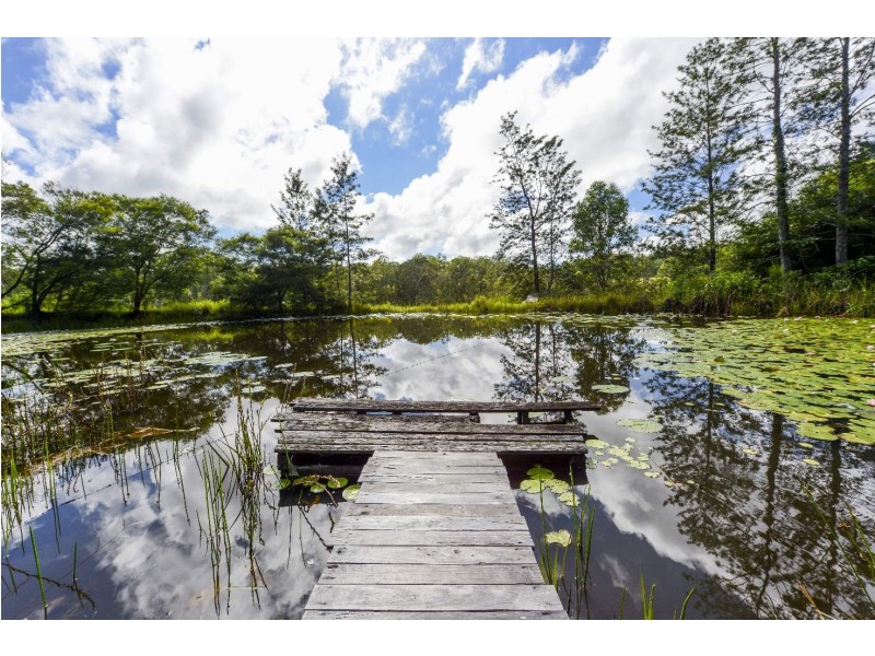 85 Frickers Road, Nymboida NSW 2460