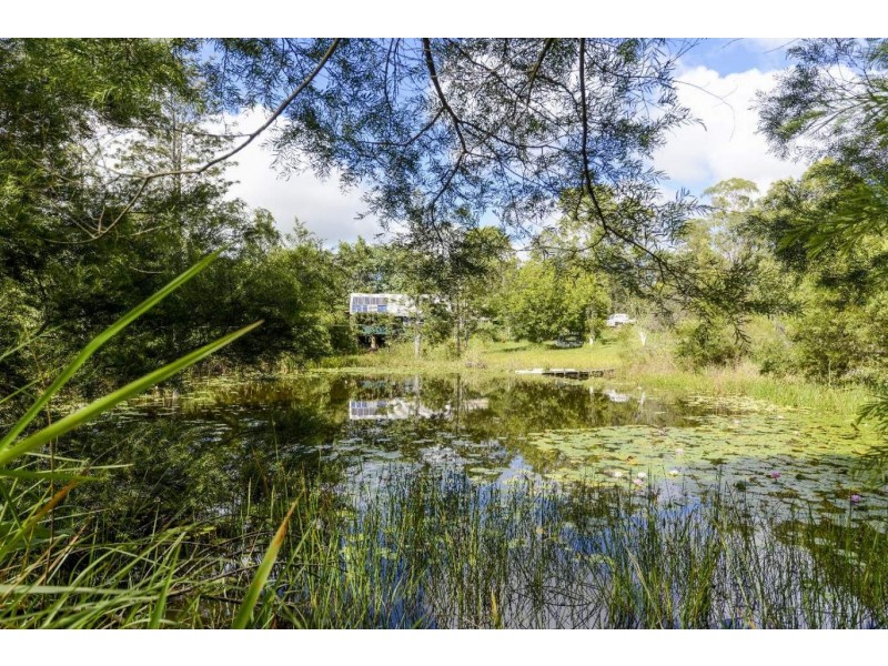 85 Frickers Road, Nymboida NSW 2460