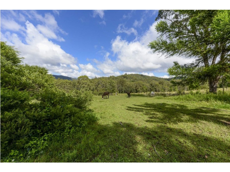 85 Frickers Road, Nymboida NSW 2460