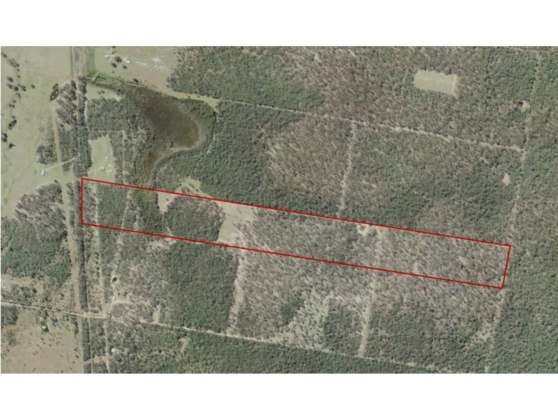 2326 Old Tenterfield Road, Rappville NSW 2469