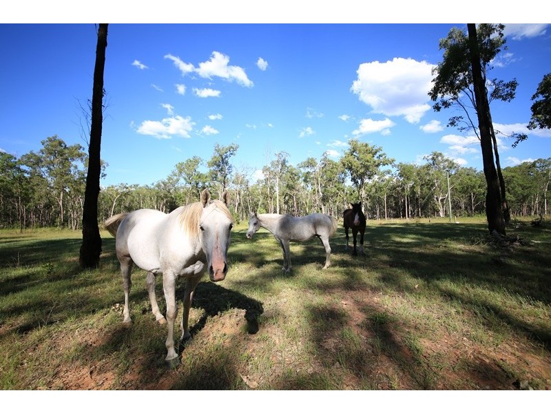 2326 Old Tenterfield Road, Rappville NSW 2469