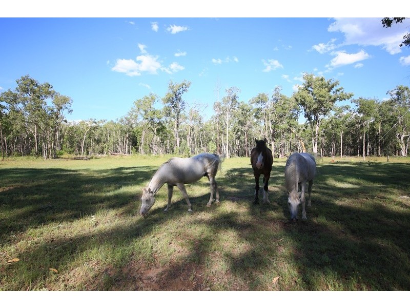 2326 Old Tenterfield Road, Rappville NSW 2469