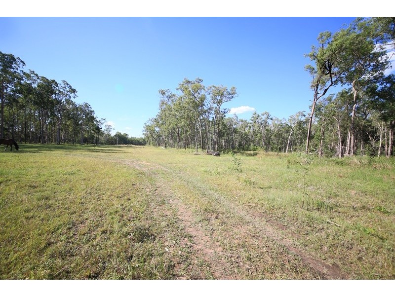 2326 Old Tenterfield Road, Rappville NSW 2469