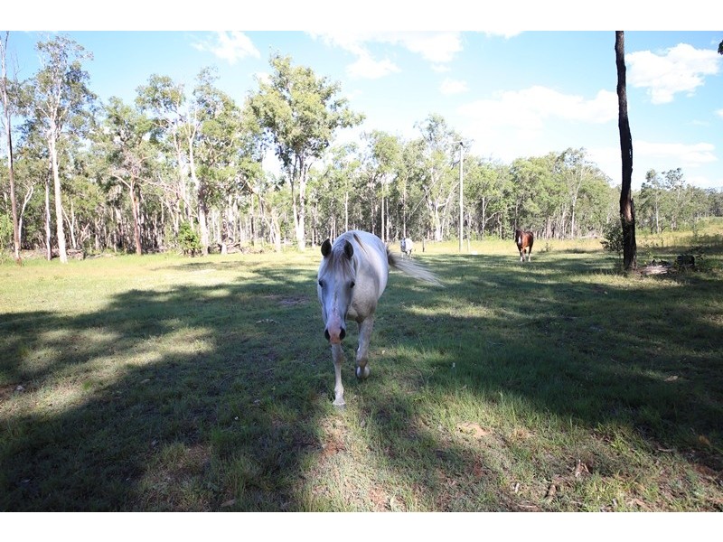 2326 Old Tenterfield Road, Rappville NSW 2469