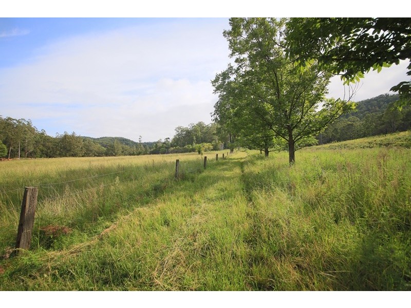 Lot 21 Frickers Road, Nymboida NSW 2460