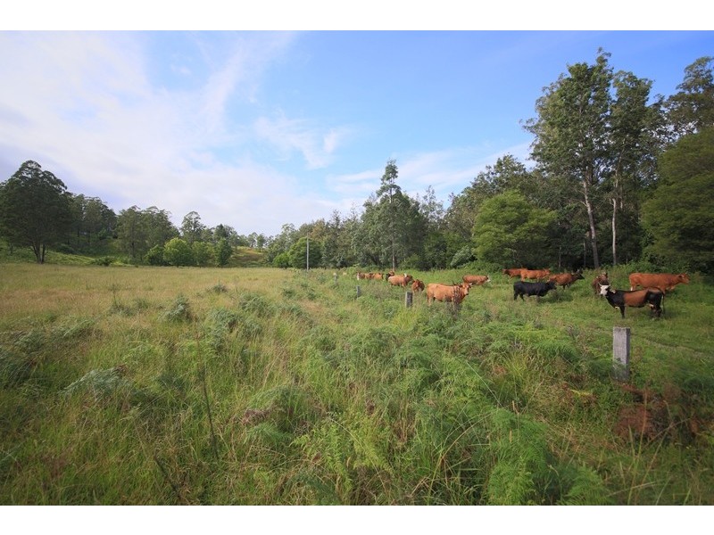 Lot 21 Frickers Road, Nymboida NSW 2460