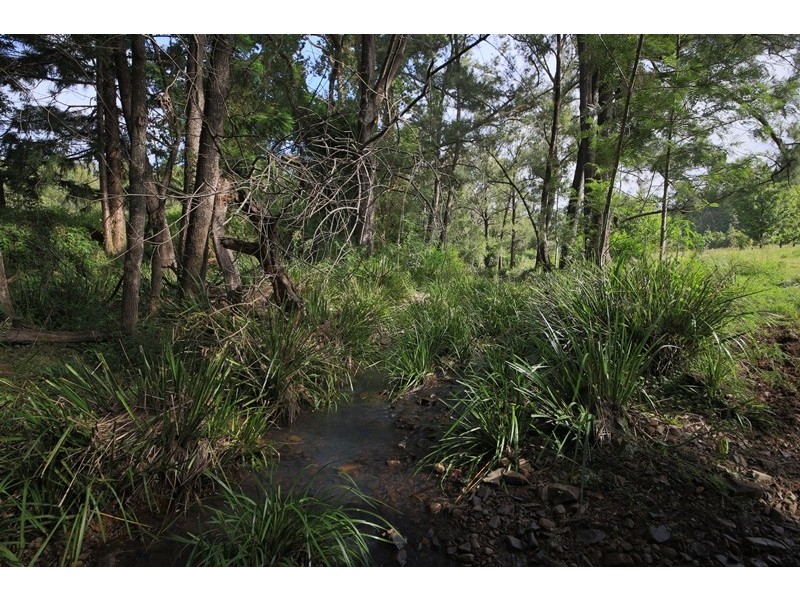Lot 21 Frickers Road, Nymboida NSW 2460