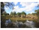 Lot 197 Orara Downs Lane, Levenstrath NSW 2460