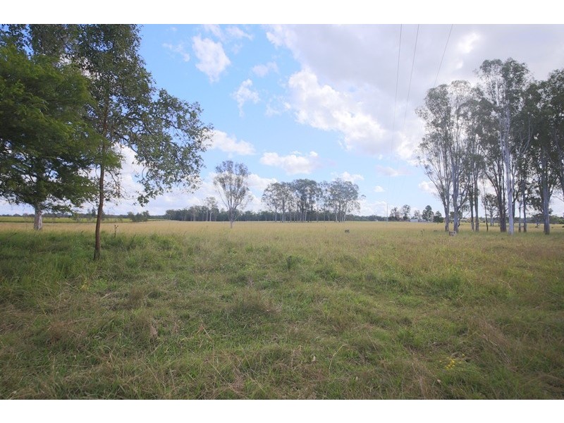 Lot 197 Orara Downs Lane, Levenstrath NSW 2460