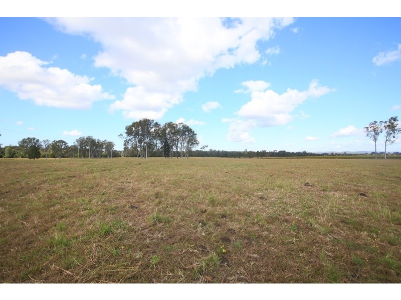 Lot 197 Orara Downs Lane, Levenstrath NSW 2460