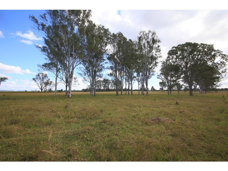 Lot 197 Orara Downs Lane, Levenstrath NSW 2460