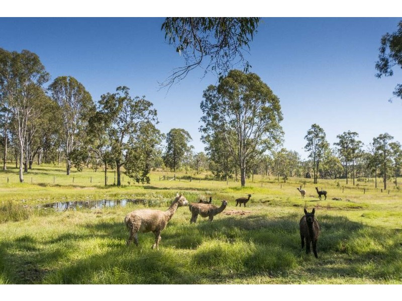 57 Ellem Lane, The Whiteman NSW 2460