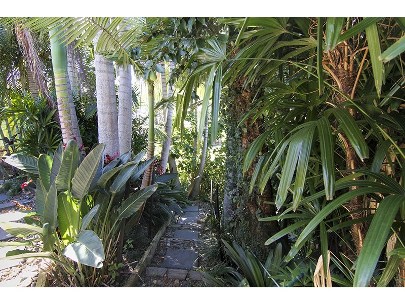 178 Villiers Street, Grafton NSW 2460