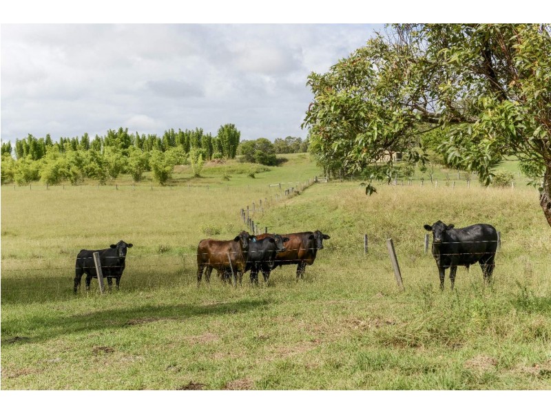 400 Centenary Drive, Clarenza NSW 2460