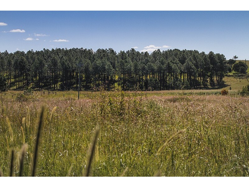 3 Tallowood Street, South Grafton NSW 2460