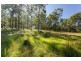2127 Summerland Way, Warragai Creek NSW 2460