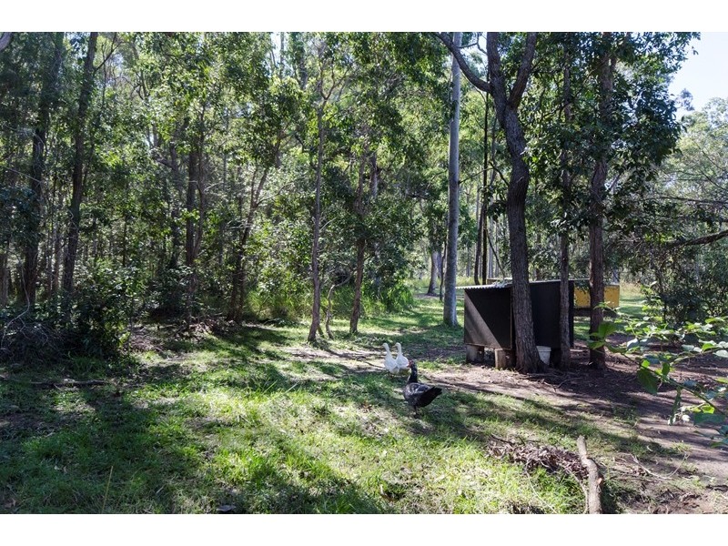 2127 Summerland Way, Warragai Creek NSW 2460