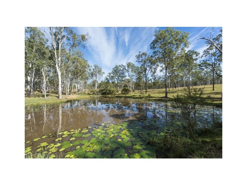 Lot 53 Whiteman Creek Road, Mylneford NSW 2460