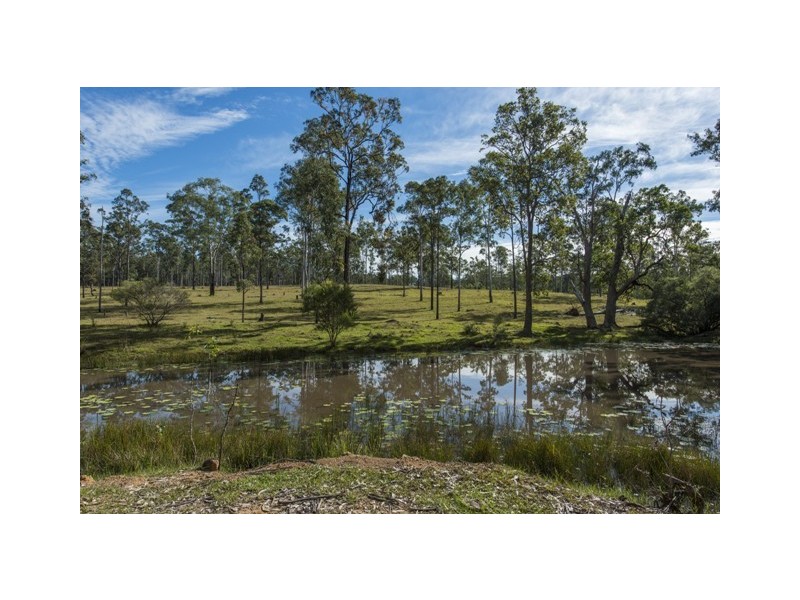 Lot 53 Whiteman Creek Road, Mylneford NSW 2460