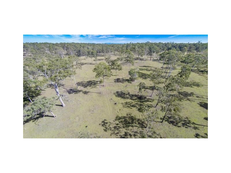 Lot 53 Whiteman Creek Road, Mylneford NSW 2460