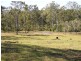 Lot 53 Whiteman Creek Road, Mylneford NSW 2460