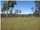 Lot 53 Whiteman Creek Road, Mylneford NSW 2460