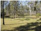 Lot 53 Whiteman Creek Road, Mylneford NSW 2460