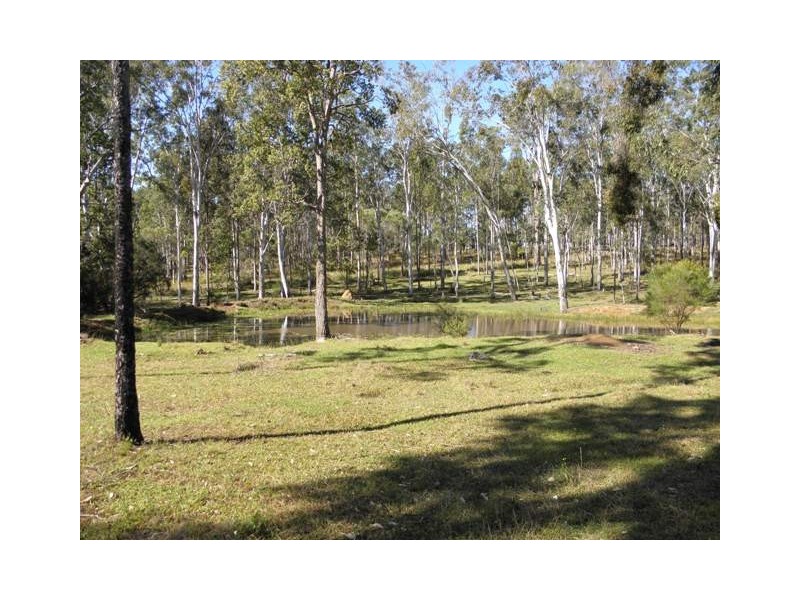 Lot 53 Whiteman Creek Road, Mylneford NSW 2460