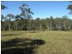 Lot 53 Whiteman Creek Road, Mylneford NSW 2460