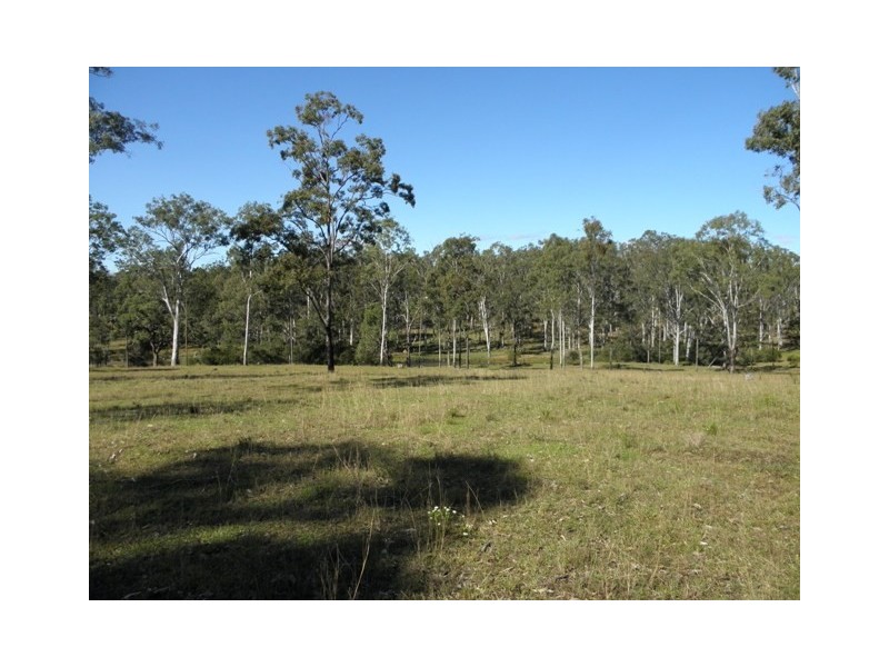 Lot 53 Whiteman Creek Road, Mylneford NSW 2460