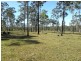 Lot 53 Whiteman Creek Road, Mylneford NSW 2460