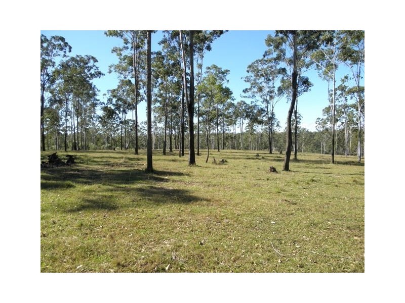 Lot 53 Whiteman Creek Road, Mylneford NSW 2460