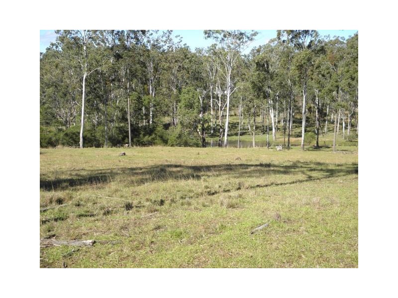 Lot 53 Whiteman Creek Road, Mylneford NSW 2460