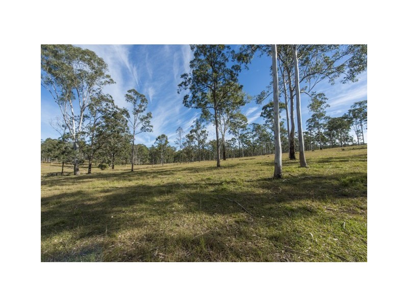 Lot 53 Whiteman Creek Road, Mylneford NSW 2460