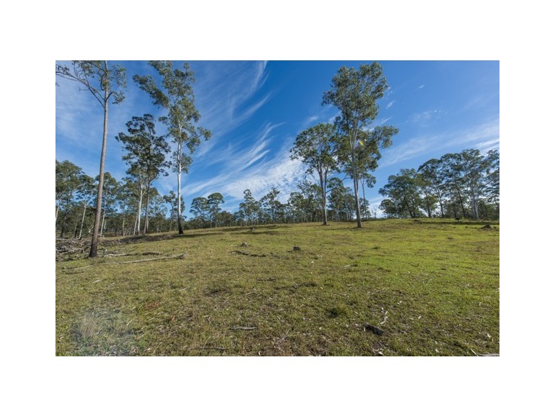 Lot 53 Whiteman Creek Road, Mylneford NSW 2460