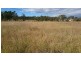 31 Adonus Close, Trenayr NSW 2460