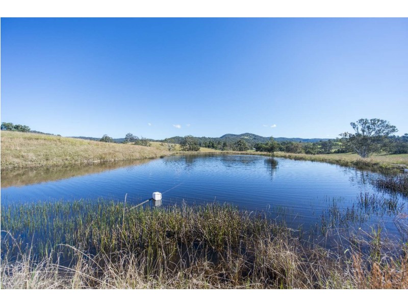 86 Bennetts Road, Nymboida NSW 2460