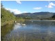 270 CASSONS CREEK ROAD, Cangai NSW 2460