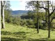 270 CASSONS CREEK ROAD, Cangai NSW 2460